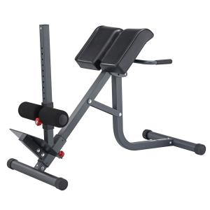 Купить Гиперэкстензия 2 в 1 (римский стул) Body Craft F670 в Барнауле 